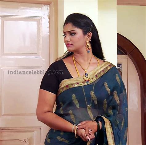 Krithika Tamil Tv Serial Vamsam S3 7 Hot Sari Photo