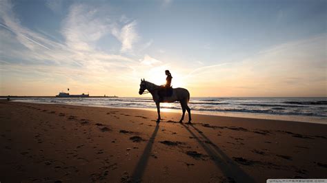 Download A Horse Ride On The Beach Wallpaper 1920x1080 Wallpoper 438816