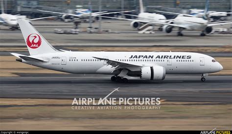 Ja835j Jal Japan Airlines Boeing 787 8 Dreamliner At Tokyo Haneda