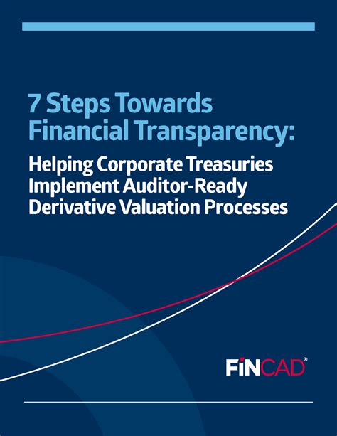 7 Steps Towards Financial Transparency Fincad
