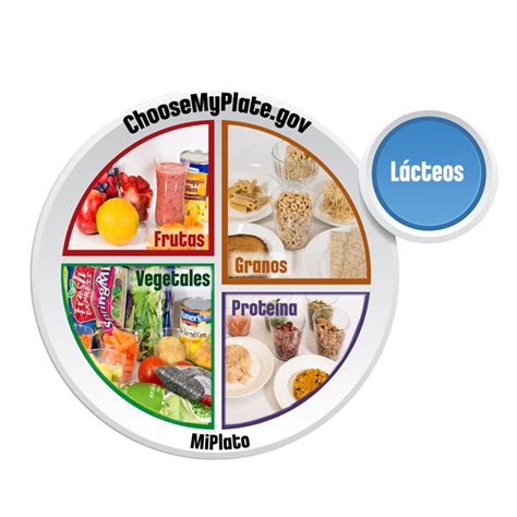 A food pyramid is a representation of the optimal number of servings to be eaten each day from each of the basic food groups. MyPlate | nutritioneducationstore.com