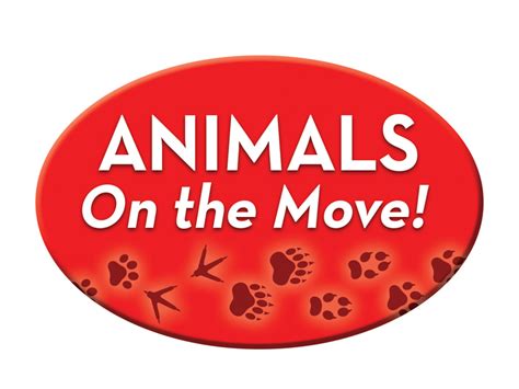 Animals On The Move Bearport Publishing