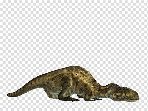 Free Download Dinosaurs Set Green T Rex Lying On Floor Transparent