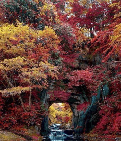 Peaceful Spot Japan Nature Photography Autumn Scenery Nature
