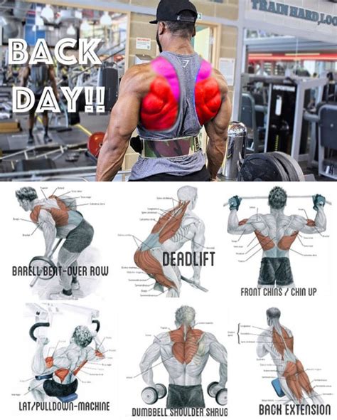 Back Day Workout Routine For Men Best Workout Routine Back Exercises