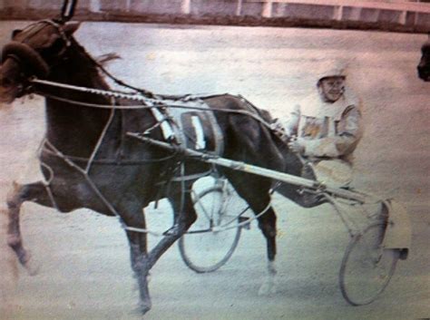 Strike Out 1972 Standardbred Horse Horses Harness Racing