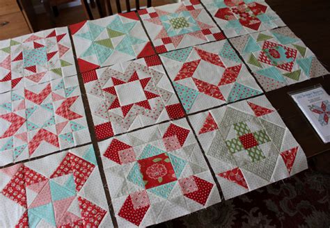 11 Blocks Down 1 To Go The Crafty Quilter