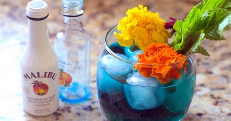 The ultimate girly drink recipe: Malibu Recipe Drinks / Enjoy our top Malibu cocktail recipes and WIN a bottle for ... : View top ...