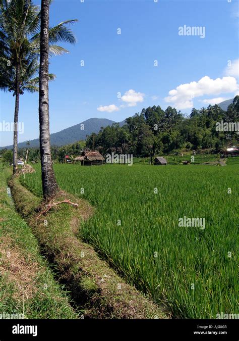 North Minahasa High Resolution Stock Photography And Images Alamy
