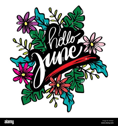 Hello June Hand Lettering With Floral Ornament Greeting Card Stock