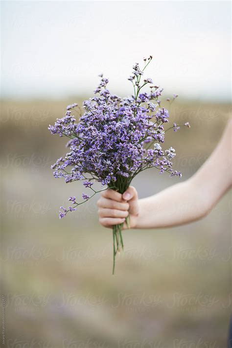 Female Hand Holding Flower Bouquet By Stocksy Contributor Jovana