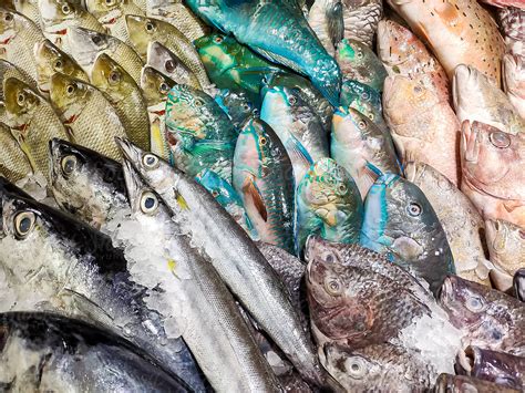 Fresh Fish In Fish Market By Stocksy Contributor Bisual Studio
