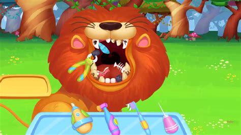 Jungle Doctor Play And Learn To Treat Animals In The Forest Doctor