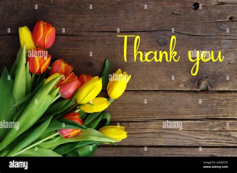 Thank You Message Colorful Tulips On Wooden Background Spring Flower