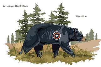 Black Bear Washington Hunting Eregulations