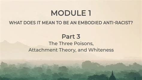 Module 1 What Does It Mean To Be An Embodied Antiracist Learn