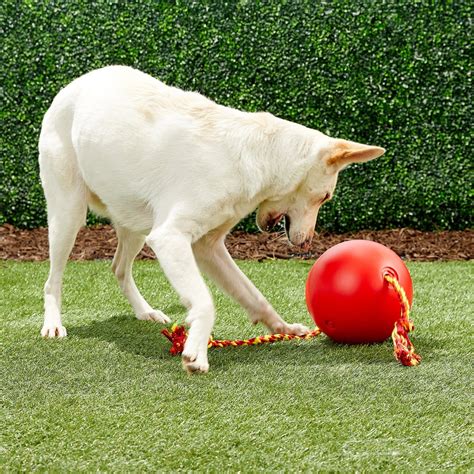 Tuggo Water Weighted Ball And Rope Dog Toy Large Red