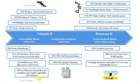 Hystorical Discoveries About Vitamin D Related Both To Its Role In