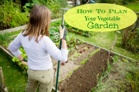 This sample garden design offers 24. Online Vegetable Garden Planners-Design Your Garden Easily