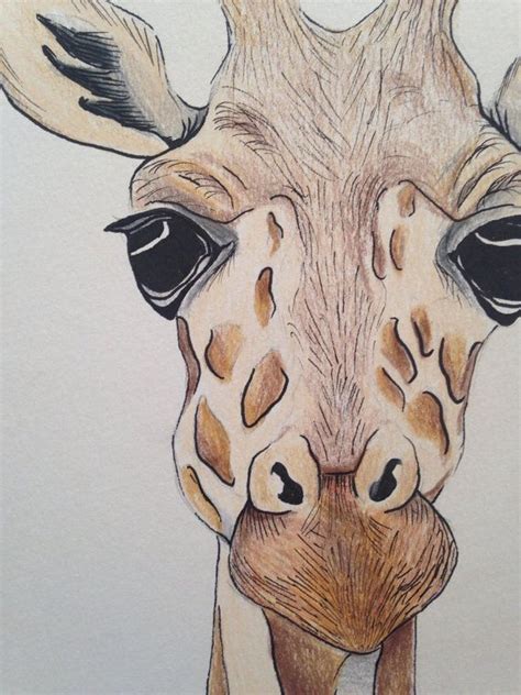 A5 Giraffe Face Drawing Using Pencil And Ink By Zeldaartlettering