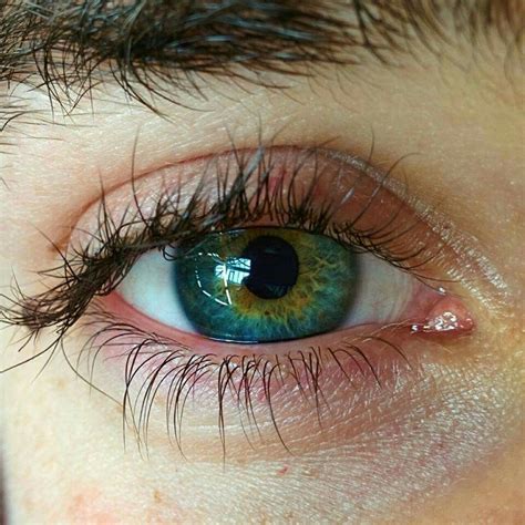 Pin By Stephanie On Eyes Beautiful Eyes Color Cool Eyes Eye Photography