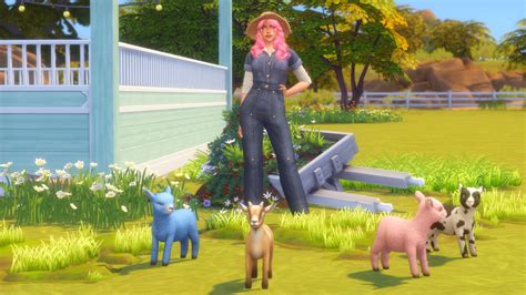 How To Get Goats And Sheep In The Sims 4 Horse Ranch Expansion Dot