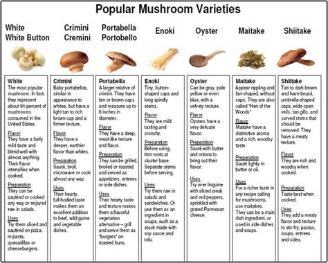 Report on Marketing aspects of Mushrooms - Assignment Point