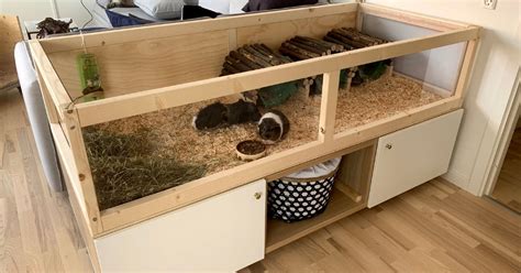 Diy Guinea Pig Cage Divider Pin On Guinea Pigs And Cages Are You
