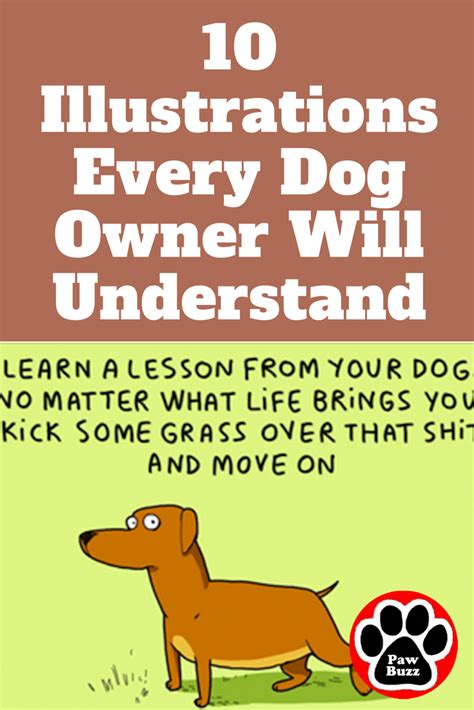 Take her out first thing in the morning, after breakfast, after dinner, and a few times. 10 Illustrations Every Dog Owner Will Understand | Dog ...
