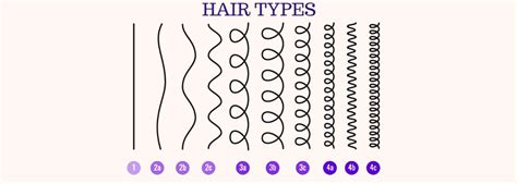 3c Hair Type Complete Guide To Growth Styling And Care Equi Botanics