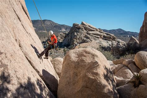 Best Time For Joshua Tree Rock Climbing In Los Angeles 2024 Roveme