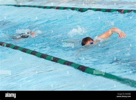 Swimmers Doing Laps Stock Photo Alamy