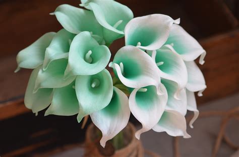 Mint Picasso Green Calla Lilies Real Touch Flowers Diy Etsy