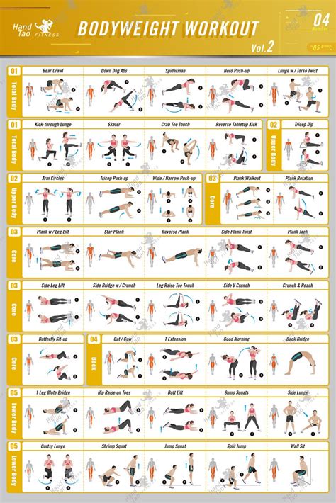 Buy Bodyweight Exercise Vol 2 Fabric Bodybuilding Guide Fitness Workout