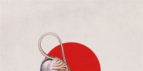 Tyga Kyoto Album Review Pitchfork