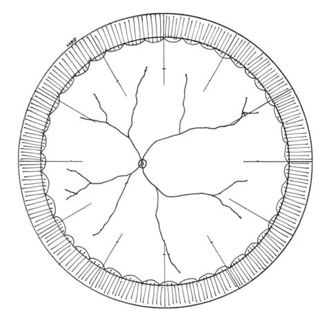 Left Eye Retinal Fundus Drawing Template Drawing Templates Templates