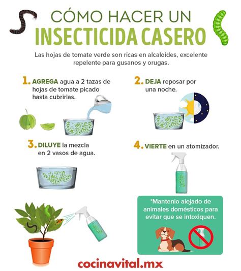 Introducir Imagen Recetas De Insecticidas Caseros Para Plantas