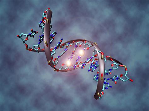 Метилирование ДНК и некоторые другие эпигенетические механизмы