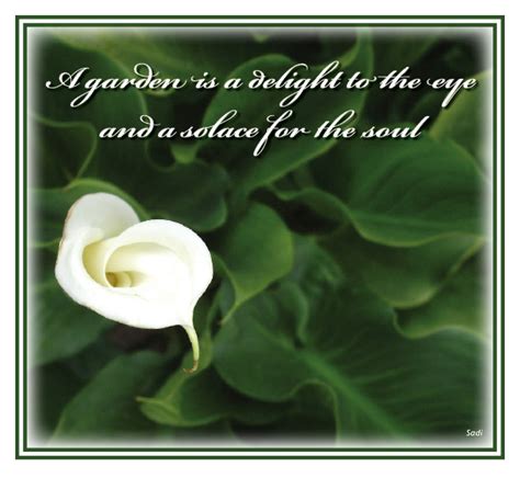 Evades enemy attacks 65% of the time for 2 turn(s), then 40% of the time afterwards.( ? Calla Lily Quotes. QuotesGram