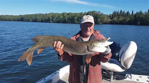 Maybe you would like to learn more about one of these? Huge pike caught at Keeley Lake Saskatchewan - YouTube