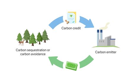 Forest Carbon Offsets Finite Carbon