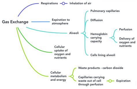 Concept Map Gas Exchange Nursing Pharmacology