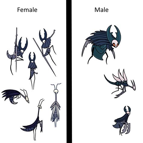 Possible Theory About The Split Of The Mantis Tribe Hollowknight