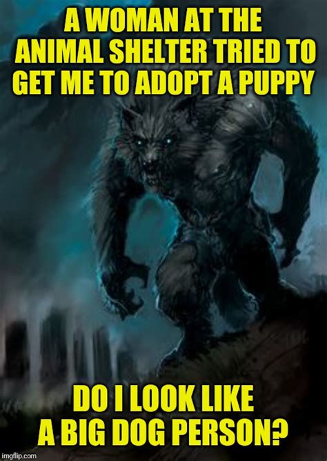Werewolf Memes Imgflip