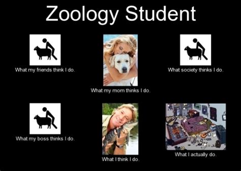 10 Amazing Hilarious ‘zoology Jokes Trolls Memes That Will Make You