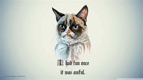 Funny Cat Wallpapers For Desktop 69 Images