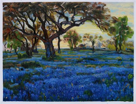 Old Live Oak Tree And Bluebonnets On The West Texas Military Grounds