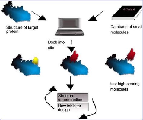 In silico toxicology is a research oriented company focussing on the development of open source predictive toxicology software and services. In Silico Drug Design - digitalpictures