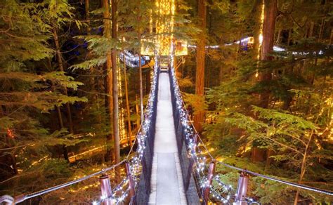 Canyon Lights Return To Capilano Suspension Bridge North Shore Daily Post