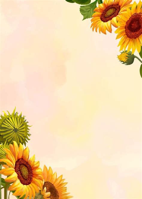 Fondo De Hoja De Papel Girasol Sunflowers Background Sunflower